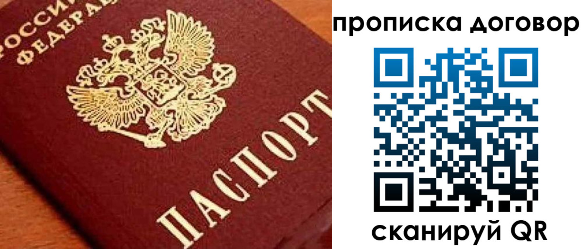 прописка поиск в Красногорске